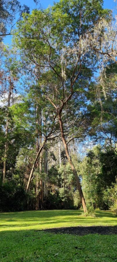 Bird Songs Getaway Accommodation Cabbage Tree Creek Екстериор снимка